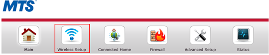 Router interface navigation bar with the 'Wireless Setup' button.