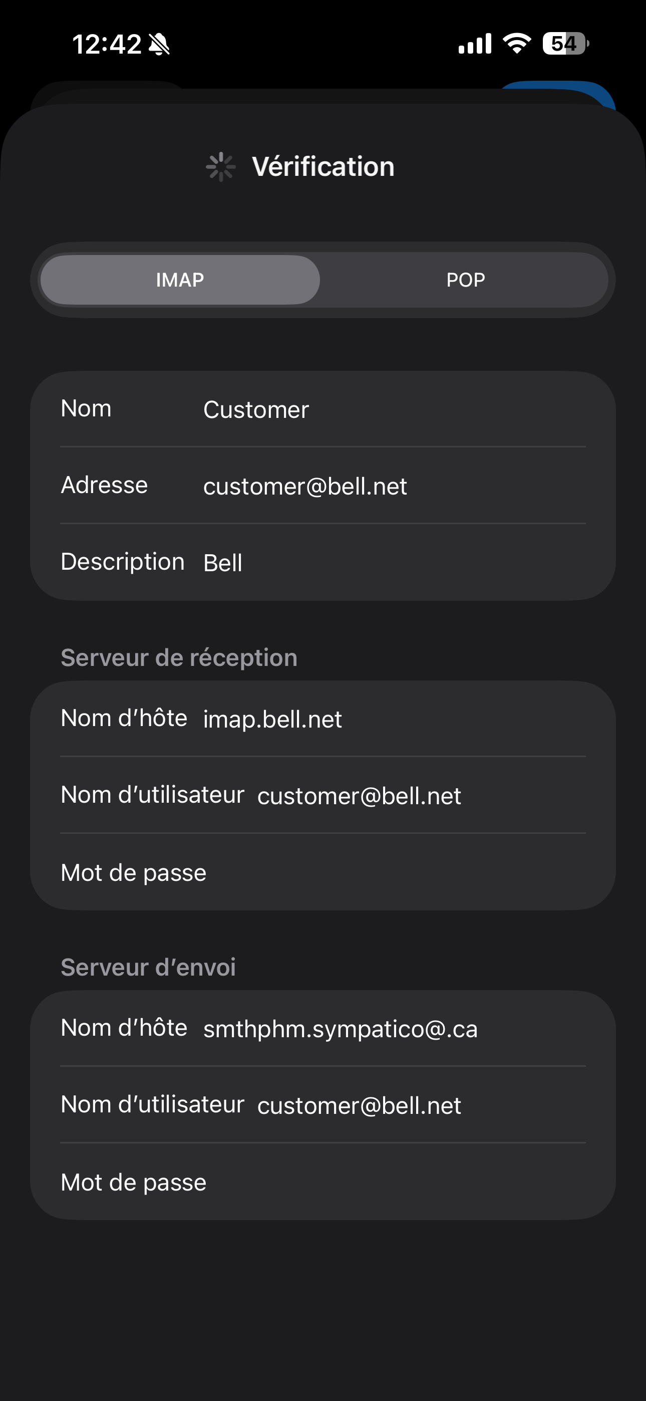 Attends pendant que les paramètres du courriel sont vérifiés.
