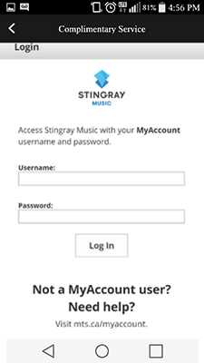 stingray3