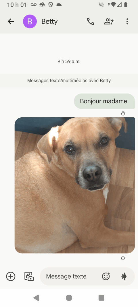 Le message a été envoyé.