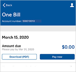 Pay and manage your bill